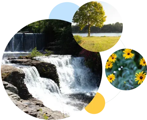 Waterfall, Tree next to water, yellow flowers in image collage